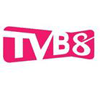 香港无线8频道 TVB8